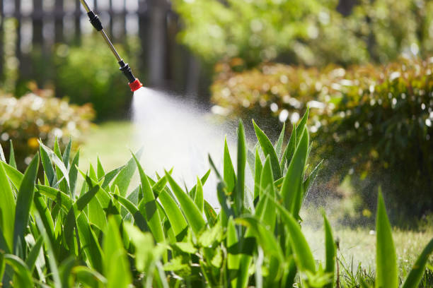 Tamper-Resistant Bait Stations for Rodents in Mabank