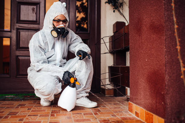 Attic and Crawl Space Rodent Treatment in Mabank